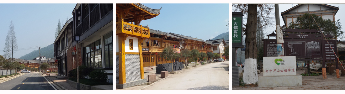 1496456064336250.jpg 3.jpg