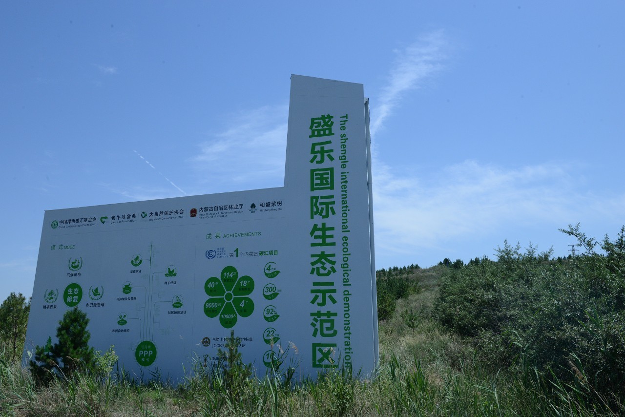 1503382003350063.jpg 2.jpg