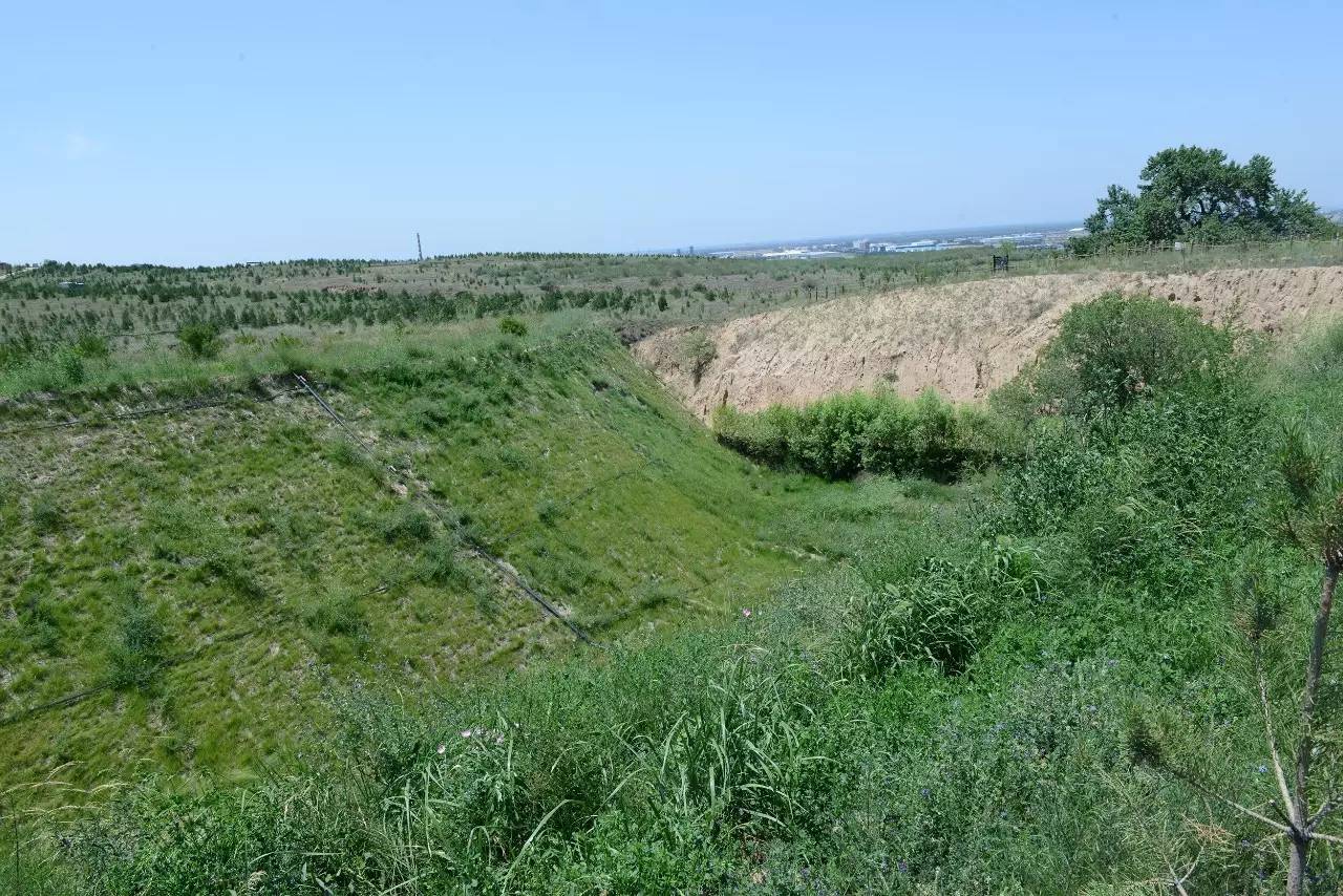 1503382260104834.jpg 6.jpg