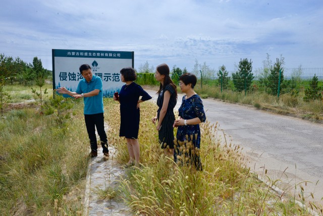 1504060380126887.jpg 55.jpg