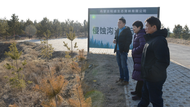 1514874744133286.jpg 05.jpg