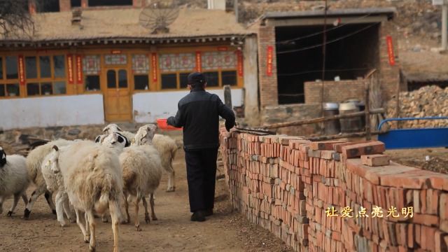 1525662996702708.jpg 看得见1.jpg