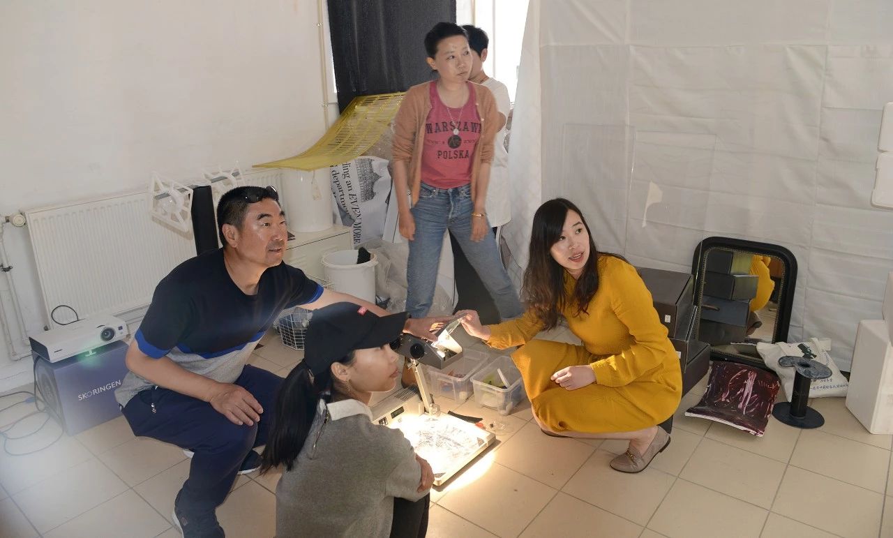 1529390552434621.jpg 9.jpg