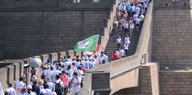 1530602883870188.jpg 3.jpg