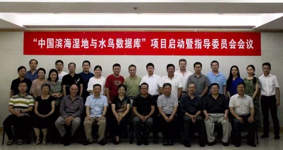 1538192336416031.jpg 640.webp.jpg