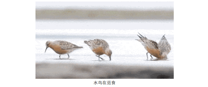 1538192517589062.png 微信截图_20180929114011.png