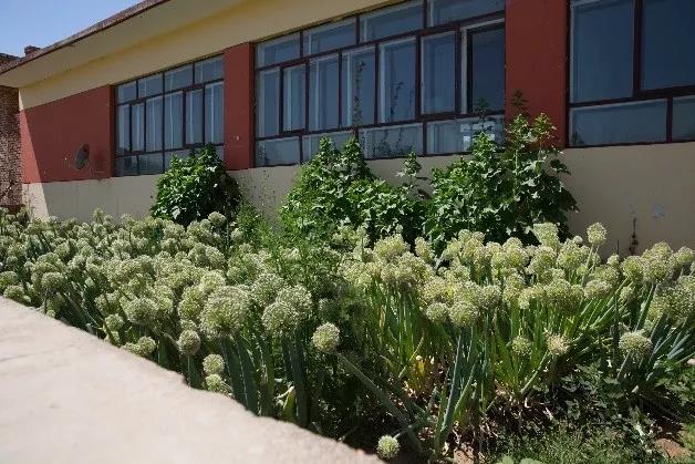 1541829860130239.jpg 微信图片_20181110140414.jpg