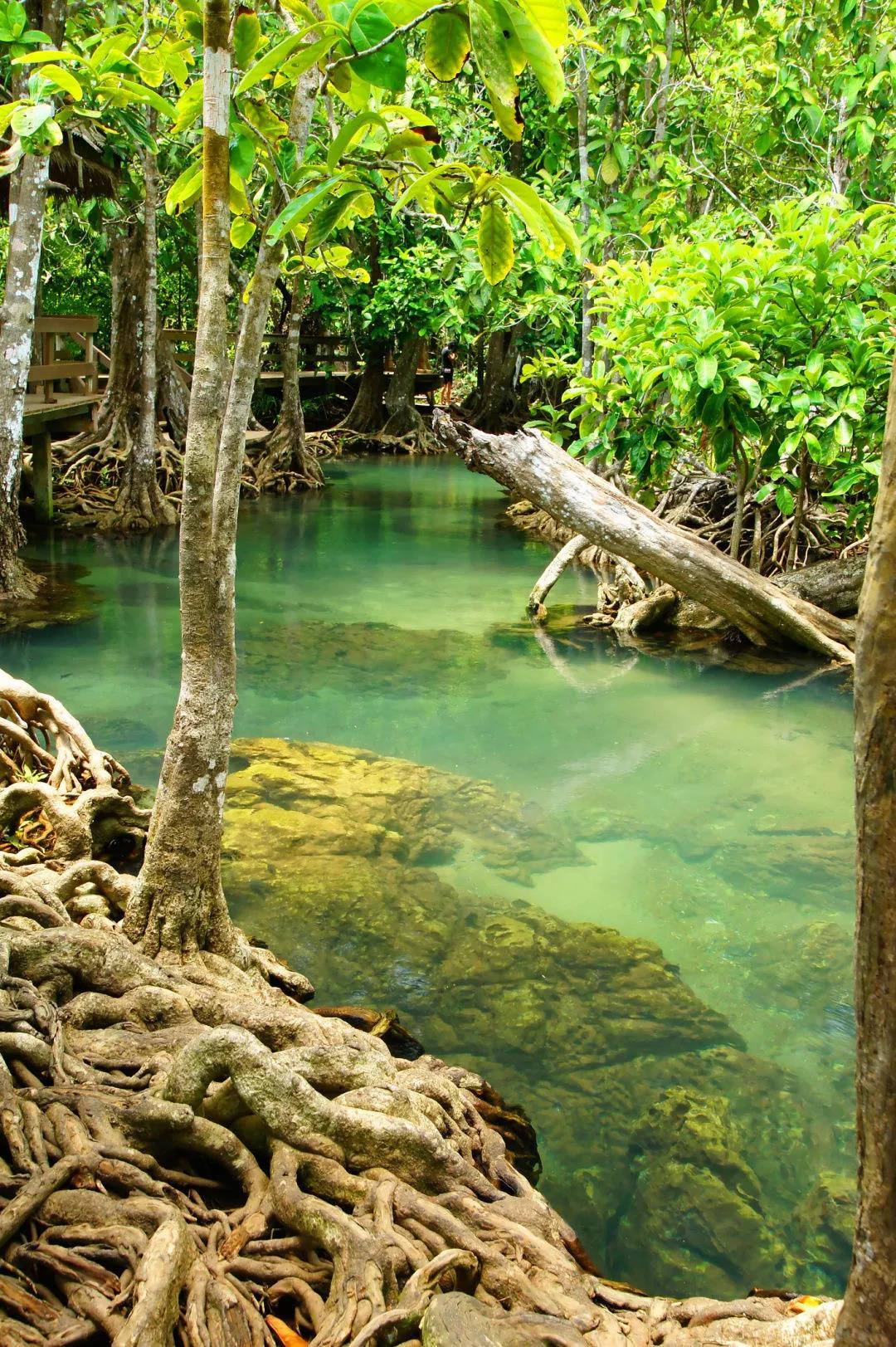 1547261838717124.jpg 微信图片_20190112105708.jpg