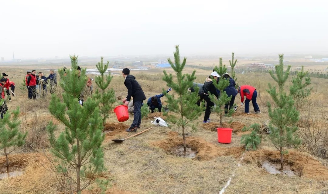 1557986146931508.jpg 640.webp (9).jpg