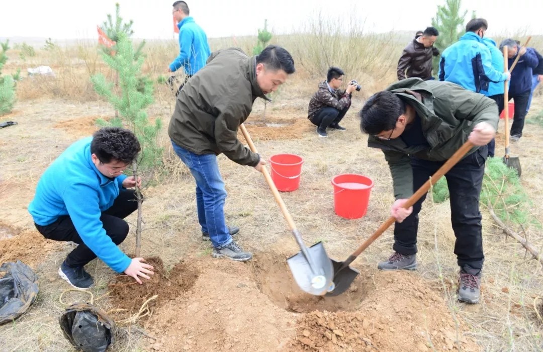 1557986269152418.jpg 640.webp (10).jpg