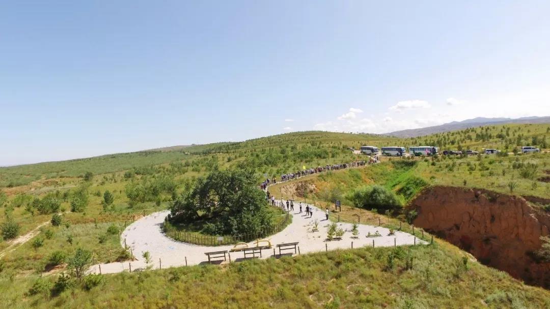 1563259561975917.jpg 微信图片_20190716144548.jpg