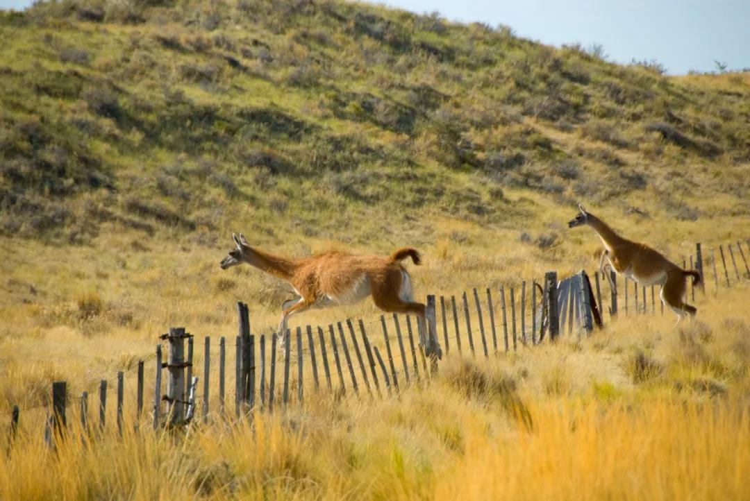 1563264635651070.jpg 微信图片_20190716161019.jpg