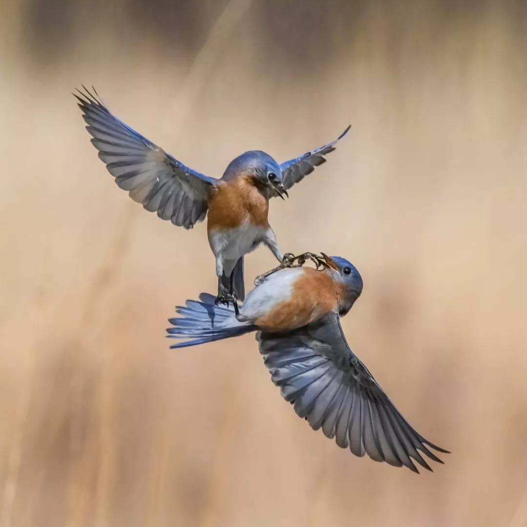 1563264727794883.jpg 微信图片_20190716161151.jpg