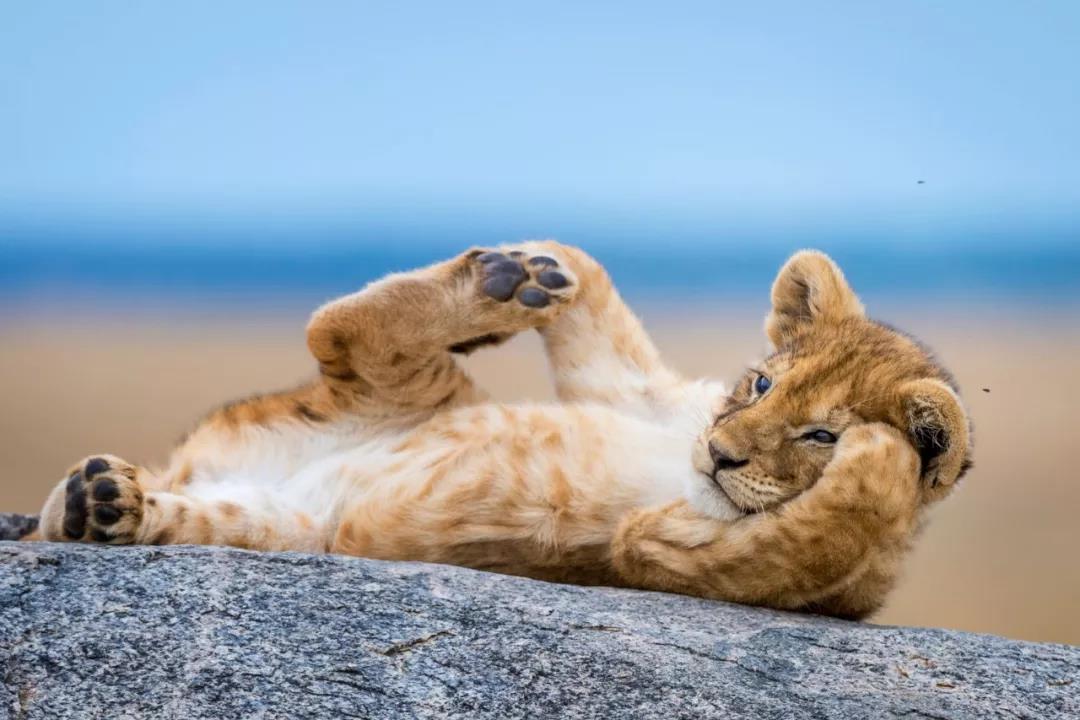 1563264742773754.jpg 微信图片_20190716161209.jpg