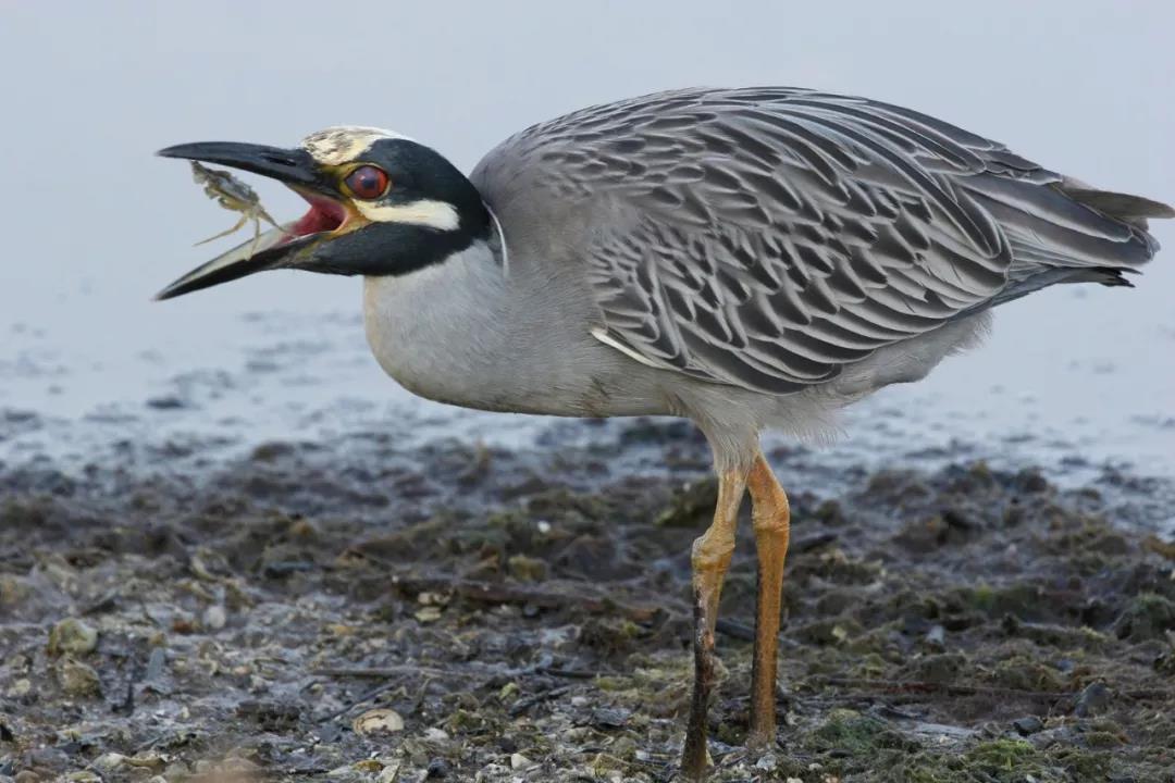 1563264760343006.jpg 微信图片_20190716161226.jpg