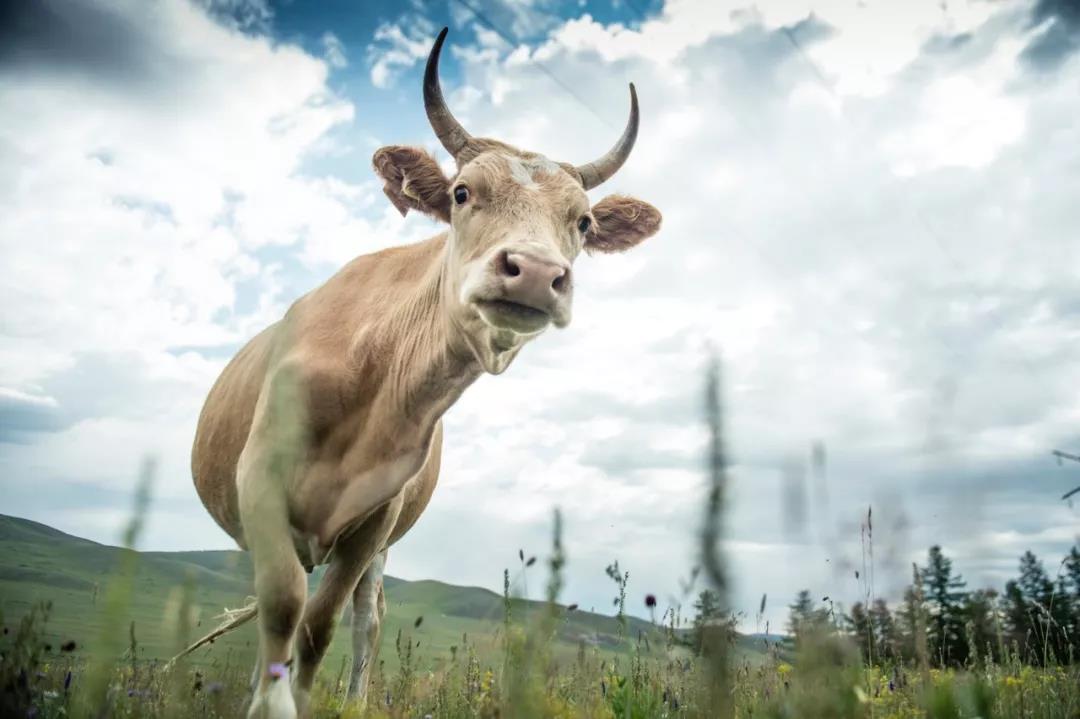 1563264777109107.jpg 微信图片_20190716161243.jpg