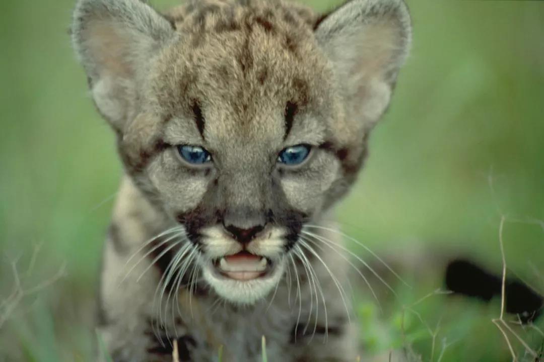 1563264813136841.jpg 微信图片_20190716161317.jpg