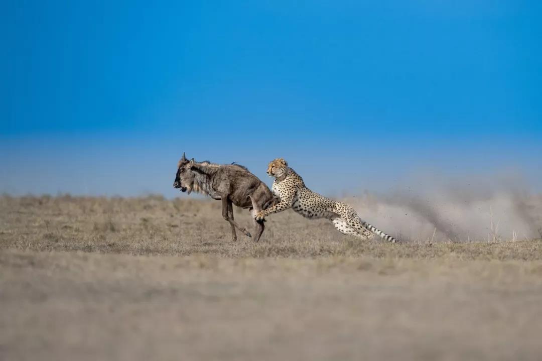 1563264830963137.jpg 微信图片_20190716161336.jpg