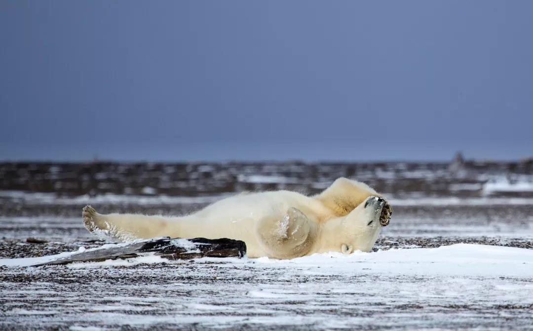 1563264847501320.jpg 微信图片_20190716161354.jpg