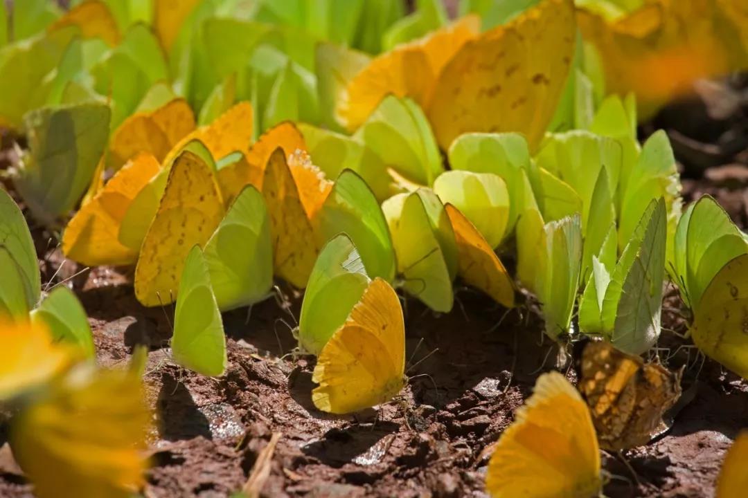 1563264887361897.jpg 微信图片_20190716161432.jpg