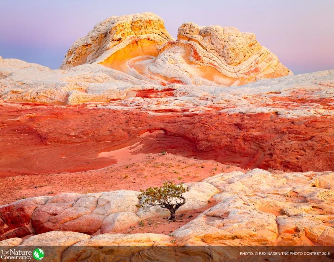 1563264906101481.jpg 微信图片_20190716161451.jpg