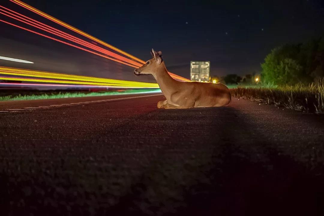 1563264922936199.jpg 微信图片_20190716161508.jpg