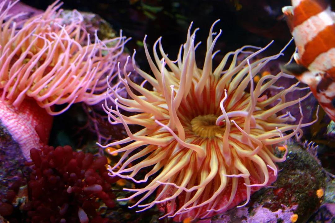 1563264940106137.jpg 微信图片_20190716161525.jpg