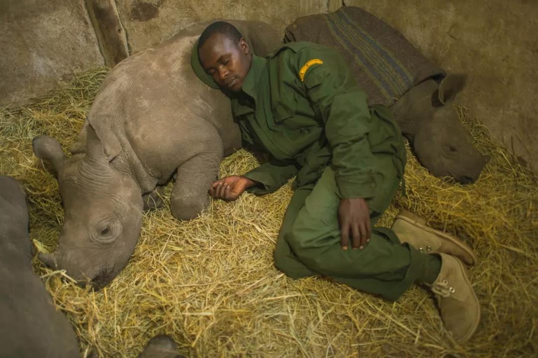 1563264956344297.jpg 微信图片_20190716161542.jpg