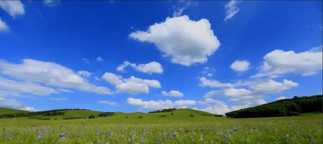 1563326619133867.jpg 微信图片_20190717092318.jpg