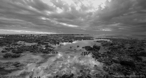 1591934317117571.gif 微信图片_20200612115611.gif