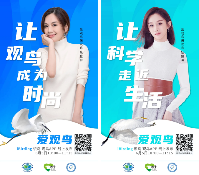 1591946206440731.png image.png