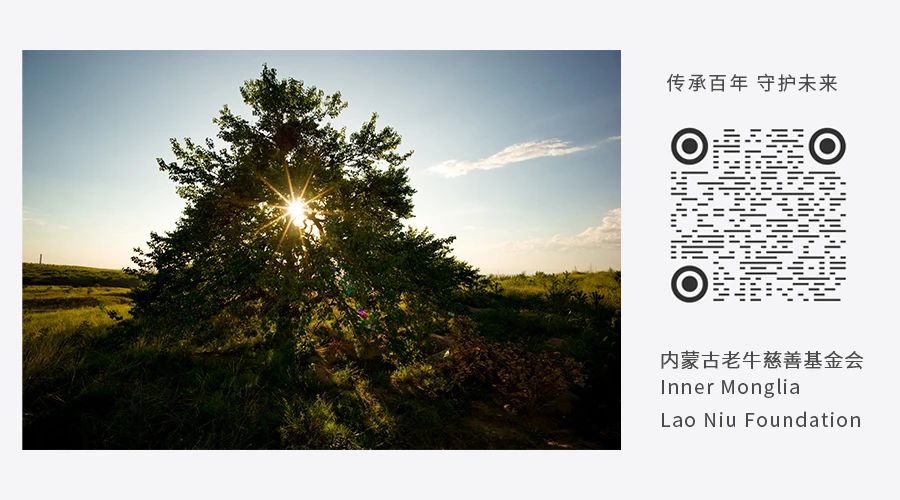 1617776234663291.jpg 微信图片_20210407134134.jpg