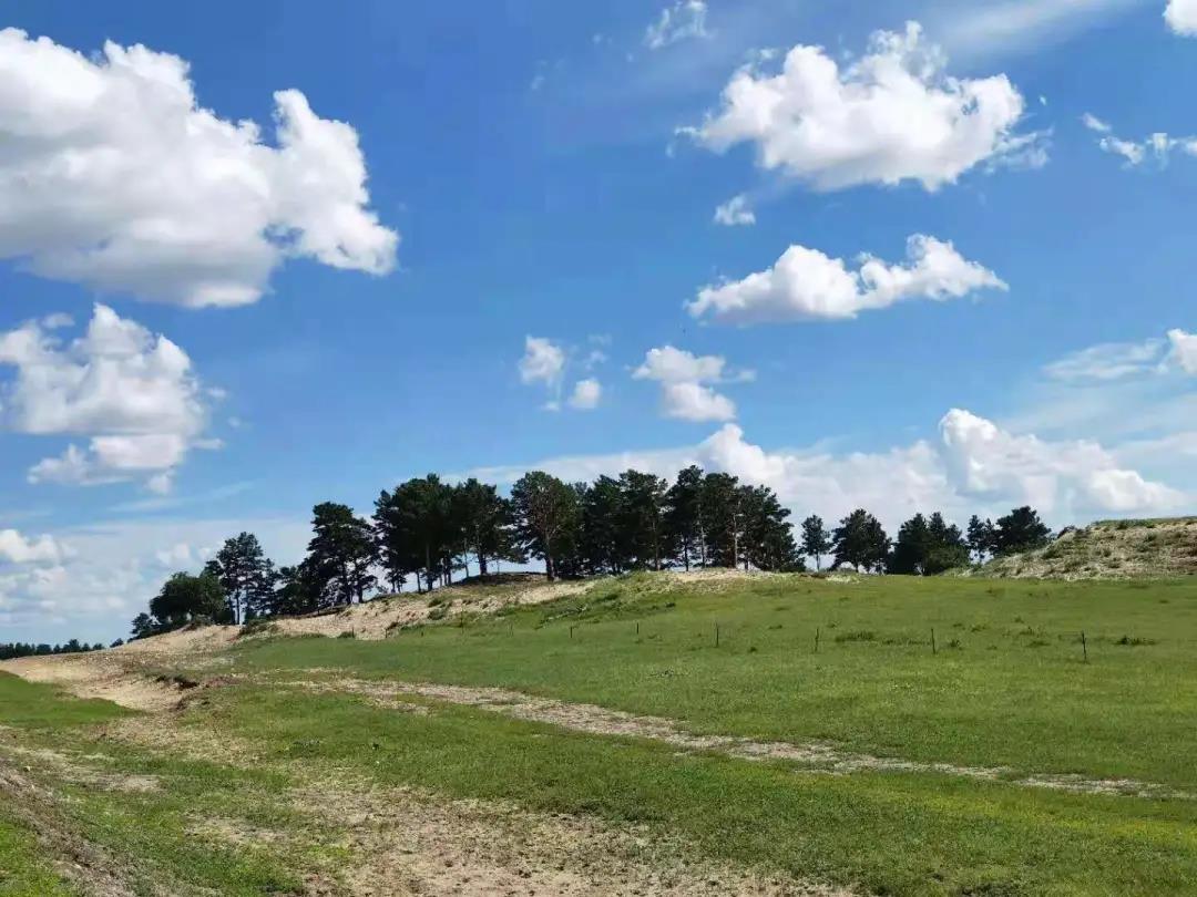 1637544709123363.jpg 微信图片_20211122092444.jpg