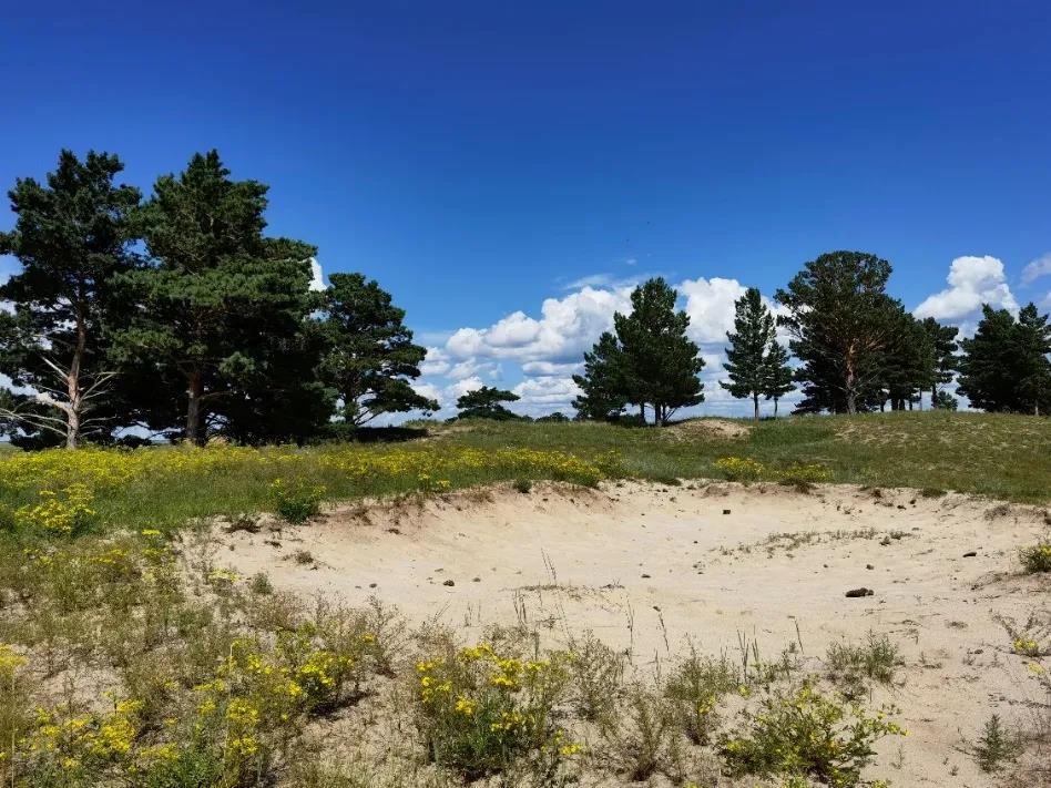 1637544727358497.jpg 微信图片_20211122092452.jpg