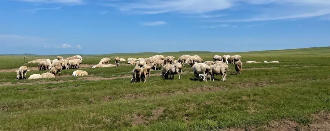 1637544740624864.jpg 微信图片_20211122092454.jpg