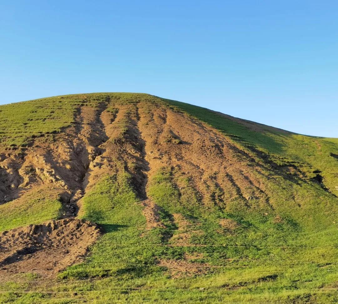 1637544747329666.jpg 微信图片_20211122092456.jpg