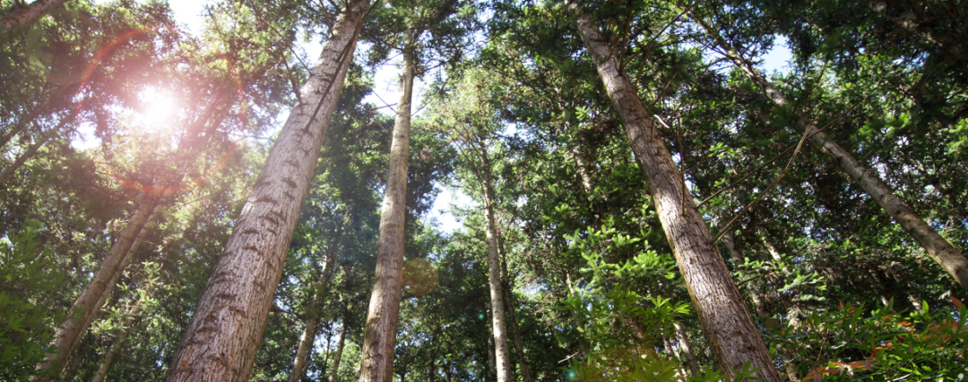 1665572724271186.png 微信图片_20221012190401.png