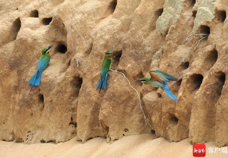 1665573556925570.jpg 微信图片_20221012191805.jpg