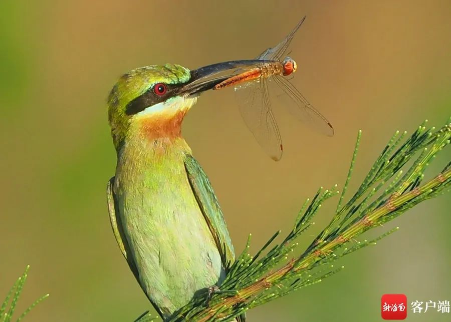 1665573568244076.jpg 微信图片_20221012191810.jpg