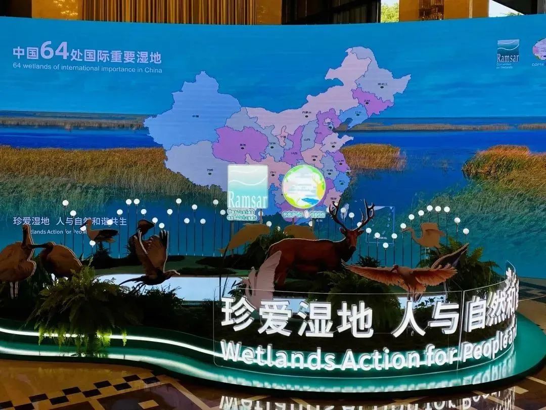 1668330030108663.jpg 微信图片_20221113165932.jpg