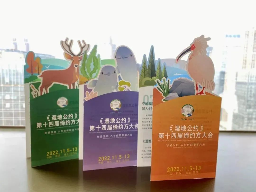 1668330049382896.jpg 微信图片_20221113165937.jpg