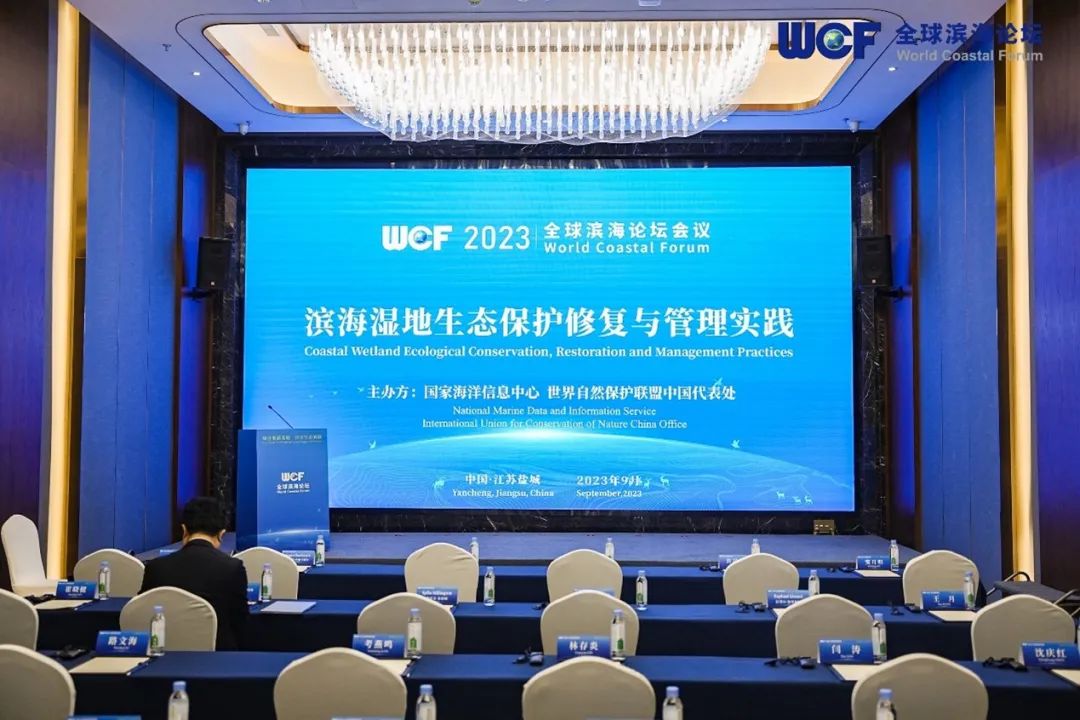 1699082769139526.jpg 640 (4).jpg