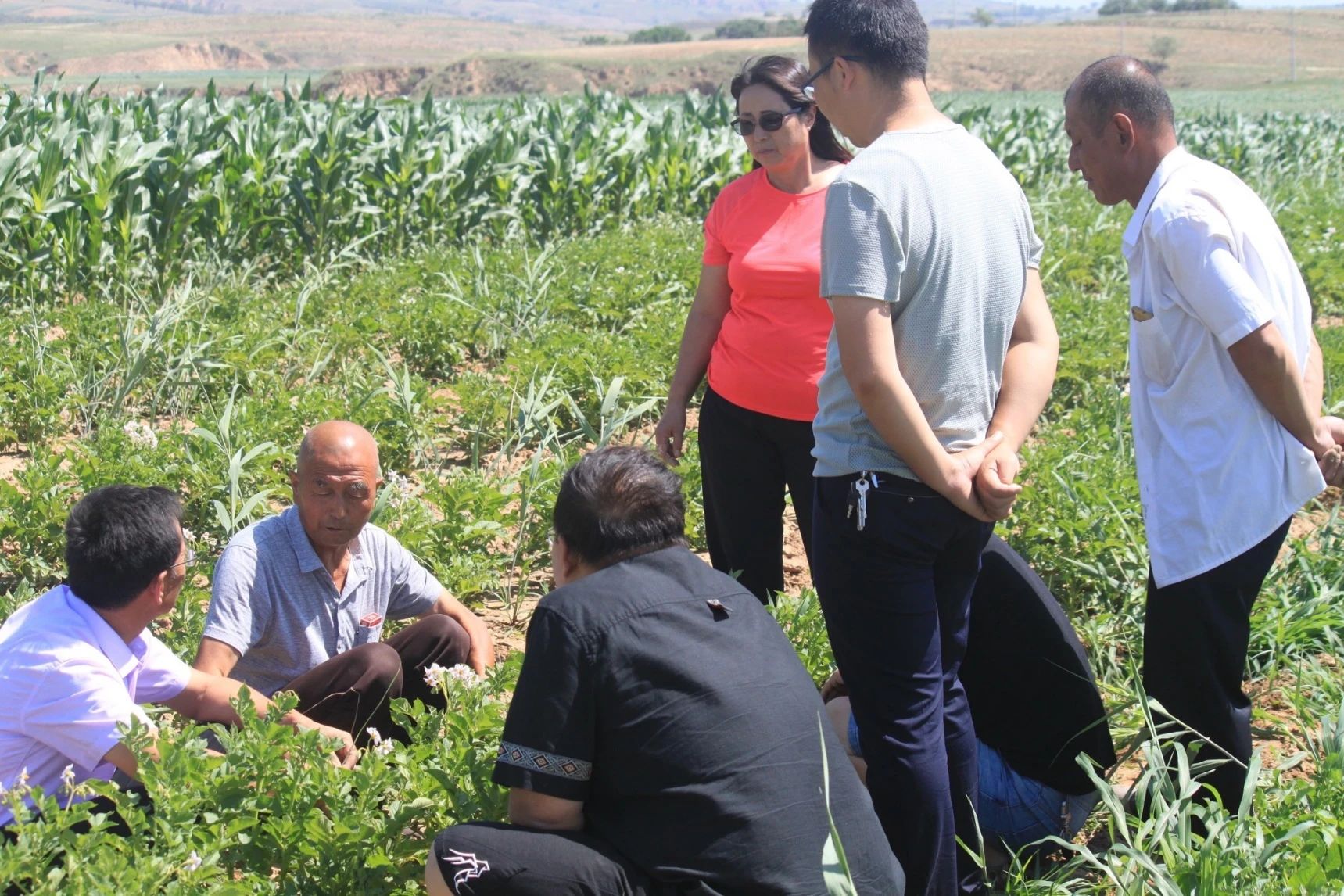 1725858098132830.jpg 微信图片_20240909125949.jpg