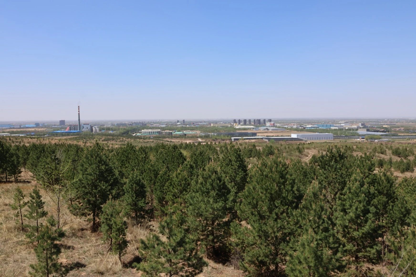 1725858107625725.jpg 微信图片_20240909125953.jpg