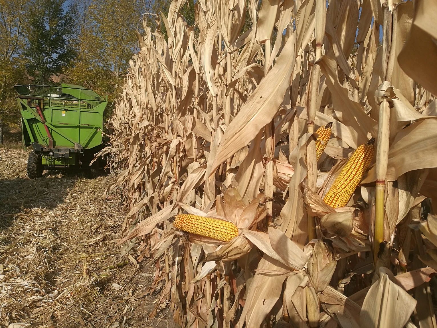 1725858113956811.jpg 微信图片_20240909125957.jpg